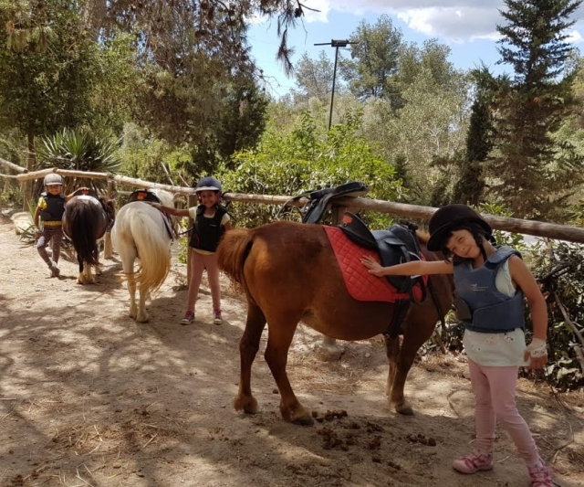 Ponis a disposición de los más pequeños Ponis a disposición de los más pequeños
