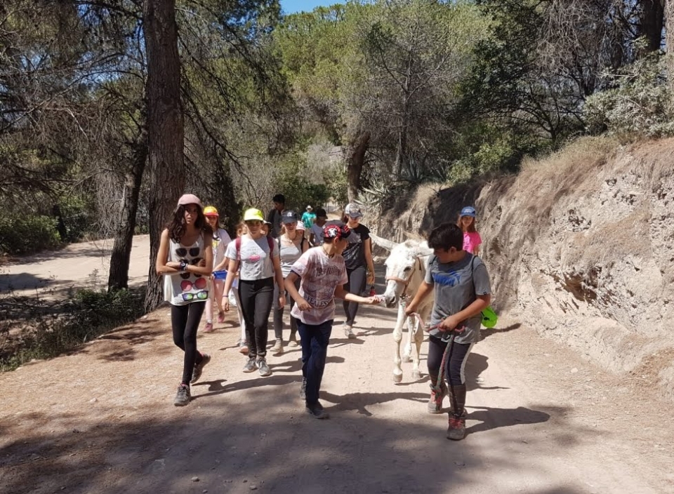 Yendo por la cerro de camino a almorzar Yendo por la cerro de camino a almorzar