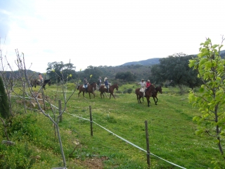 Cabalgamarra con alojamiento y desayuno S.Morena