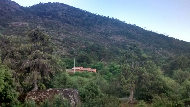 En plena naturaleza