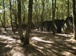 Campamento para colegios en El Píelago 5 días
