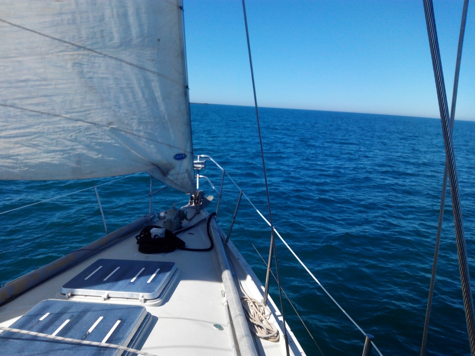 Vela desplegada