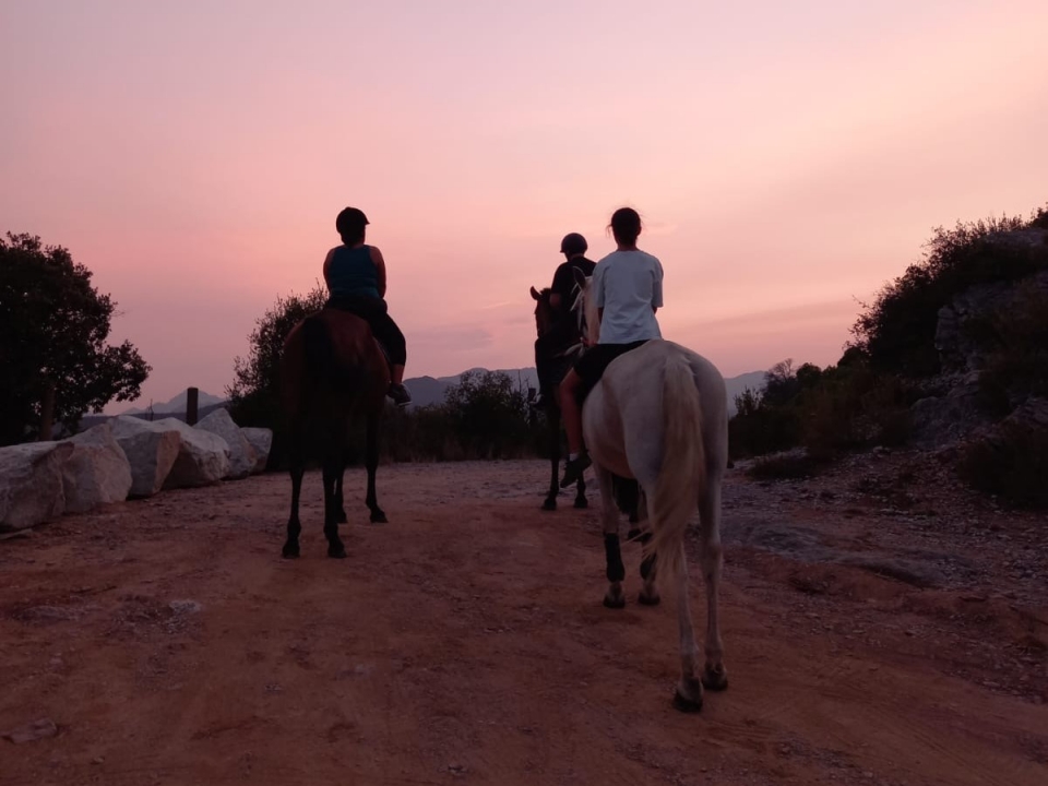 Vive su experiencia a caballo en Girona Vive su experiencia a caballo en Girona