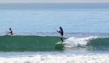 Tabla de stand up paddle renta de 1 hora