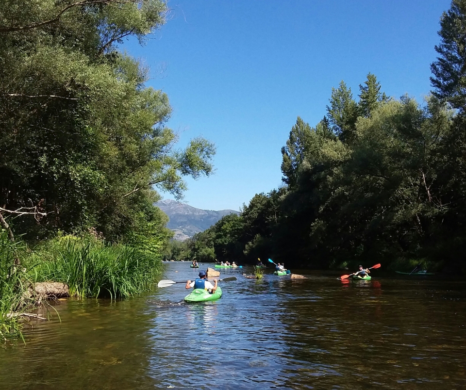 Canoas en el Sella