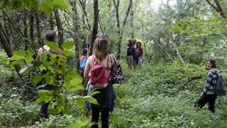 Forest Mindfulness camicrema y relajación Galicia