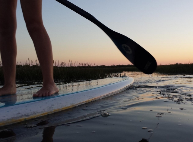 Renta de paddle board