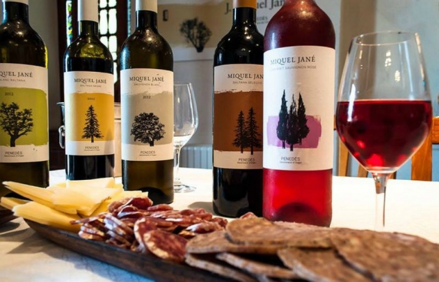 aperitivo de la comarca aperitivo de la comarca