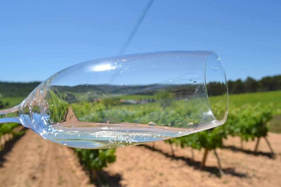 nuestra finca