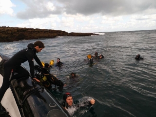 Inmersión buceo en Hondarribia+renta equipo