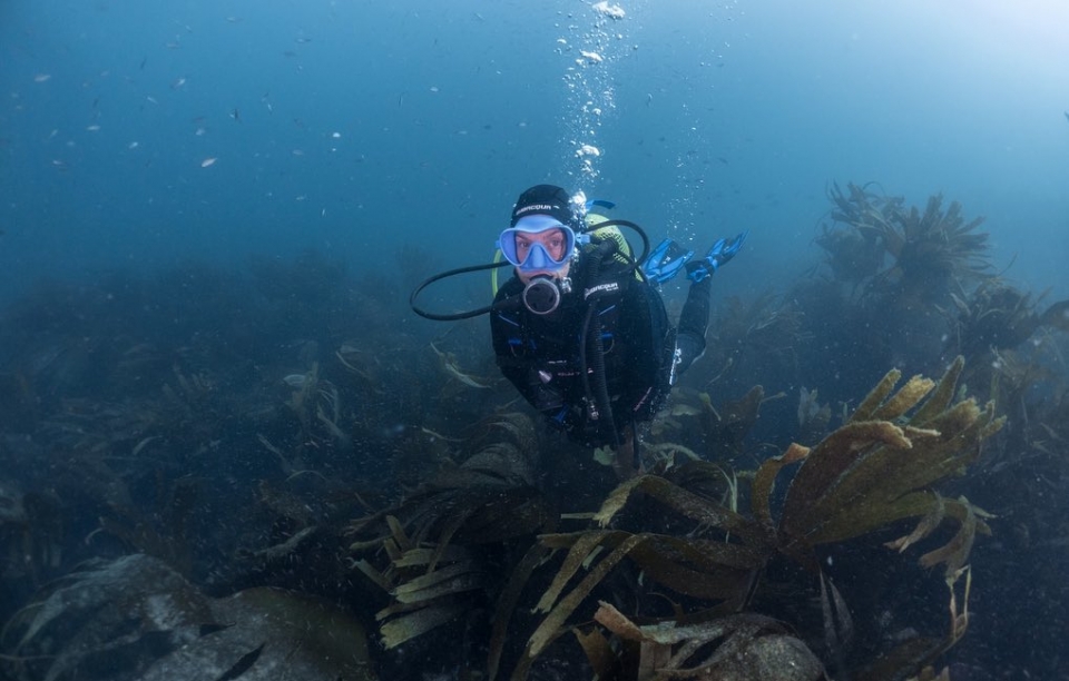 Buceo para titulados Buceo para titulados