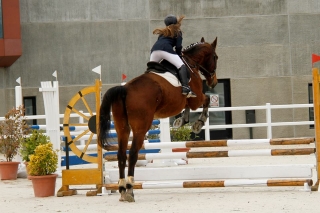 Bono de 10 clases de salto a caballo en Ortigosa
