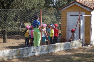 Granja escuela familiar + alojamiento + taller