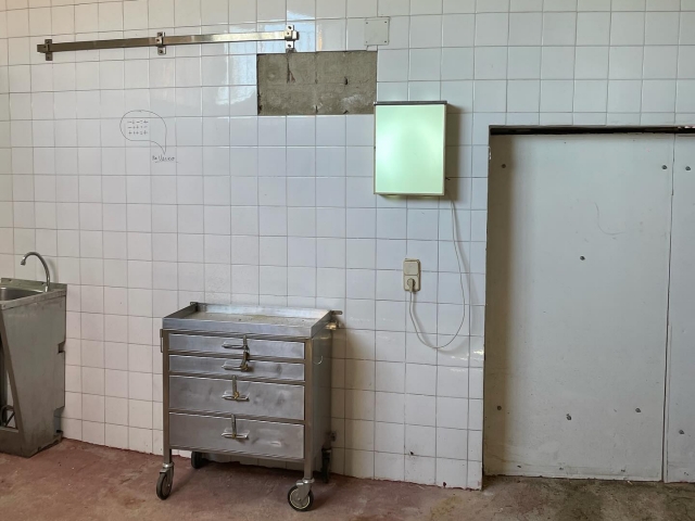 Escape Room eventos: Epidemia en la finca + comida