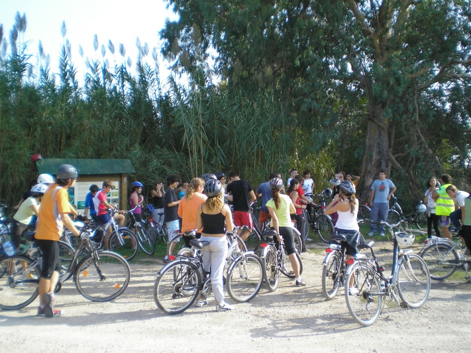 Renta de bicicletas junto al Ebro Renta de bicicletas junto al Ebro