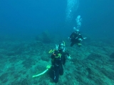 Inmersión en Cabo Tiñoso sin material