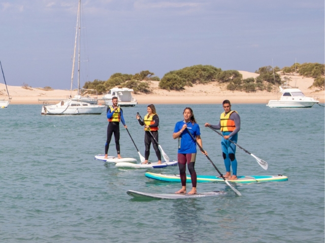 Renta de paddle board en Sancusted Petri, 2 horas