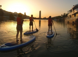 Ruta de paddle board en el Guadalquivir 2 horas