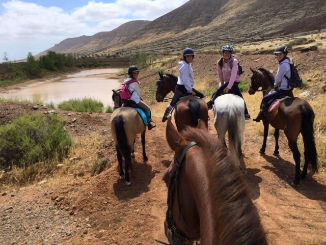 Parada en ruta ecuestre en Fuerteventura