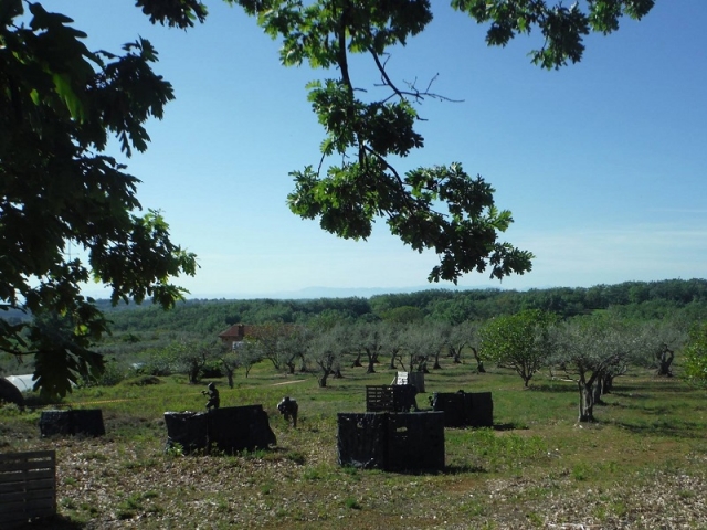 Campo de gotcha en La Vera Campo de gotcha en La Vera