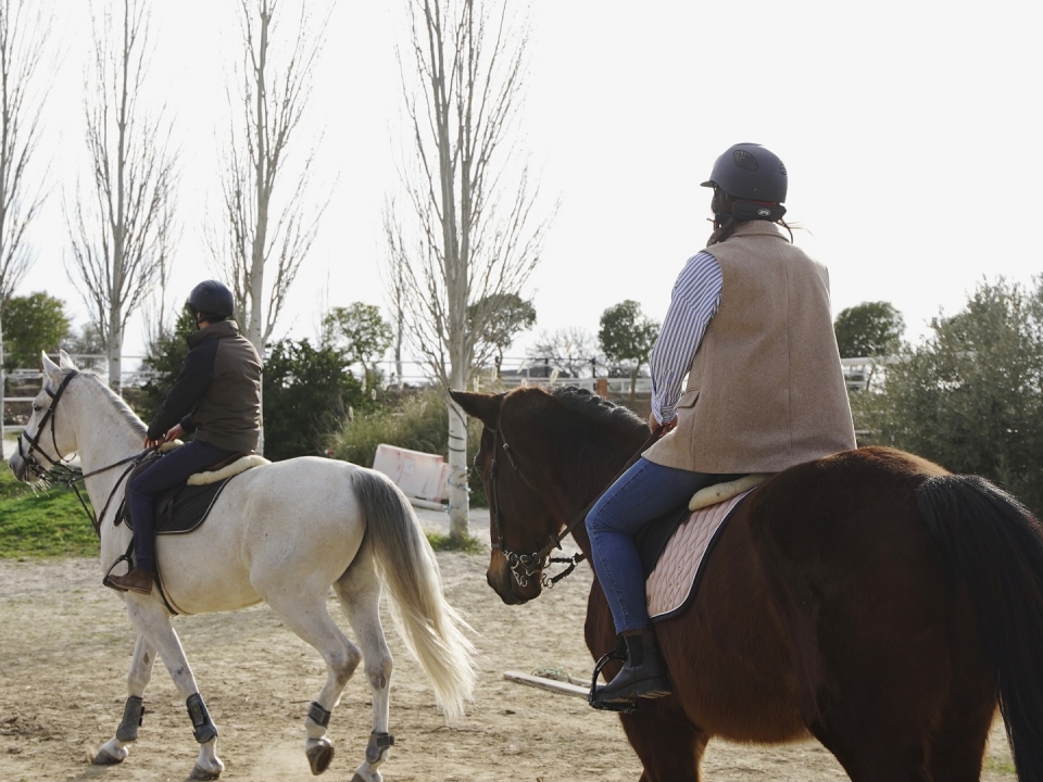 Aprende a subir a caballo Aprende a subir a caballo