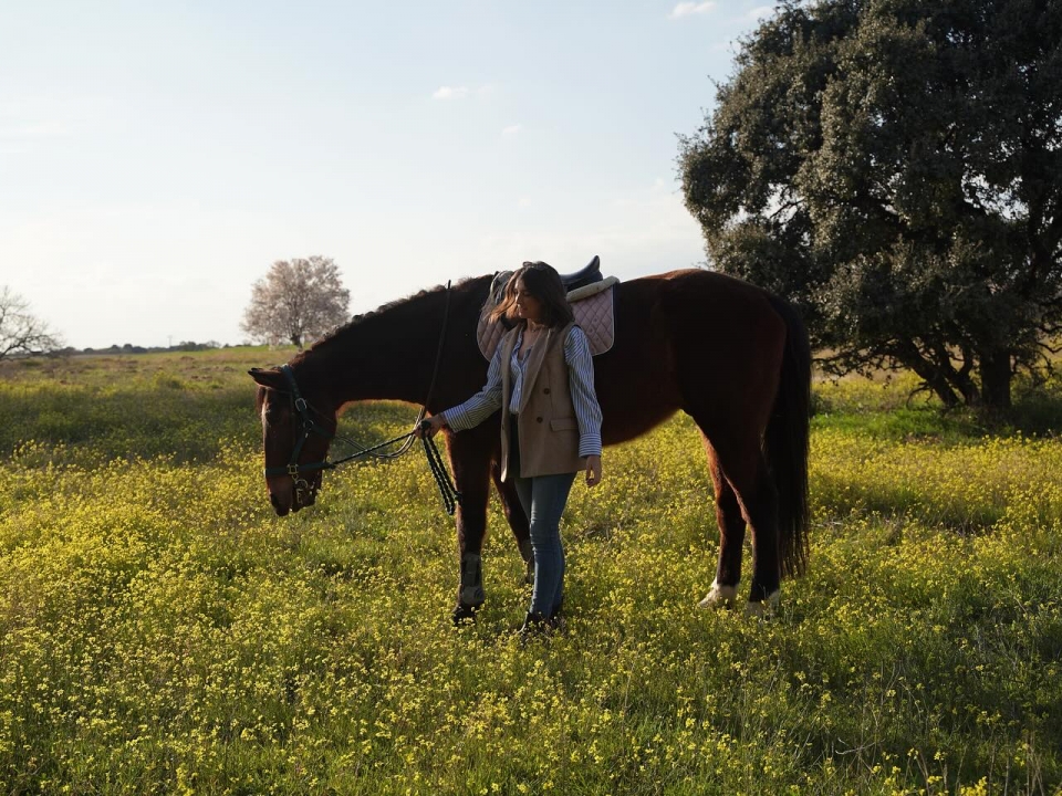 Nuestros caballos en El Pardo Nuestros caballos en El Pardo