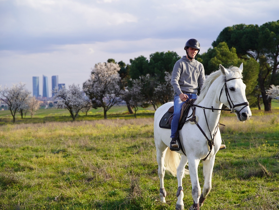 Paseo a caballo por el entorno madrileño Paseo a caballo por el entorno madrileño