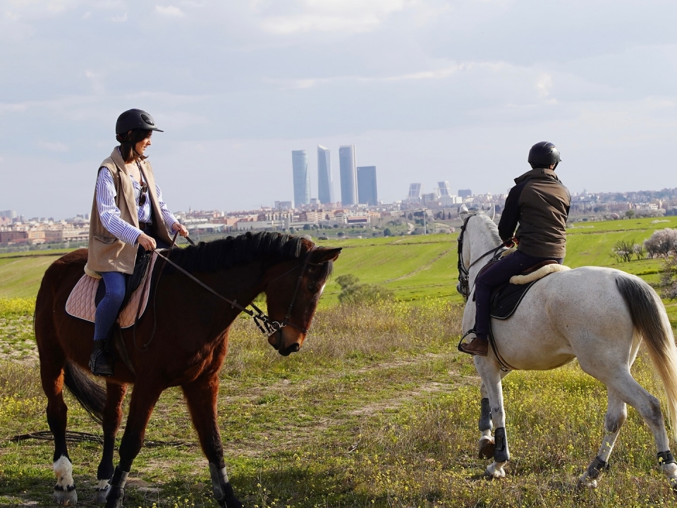 Cabalgamarra en Madrid Cabalgamarra en Madrid
