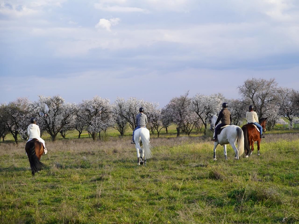 Ruta por El Pardo