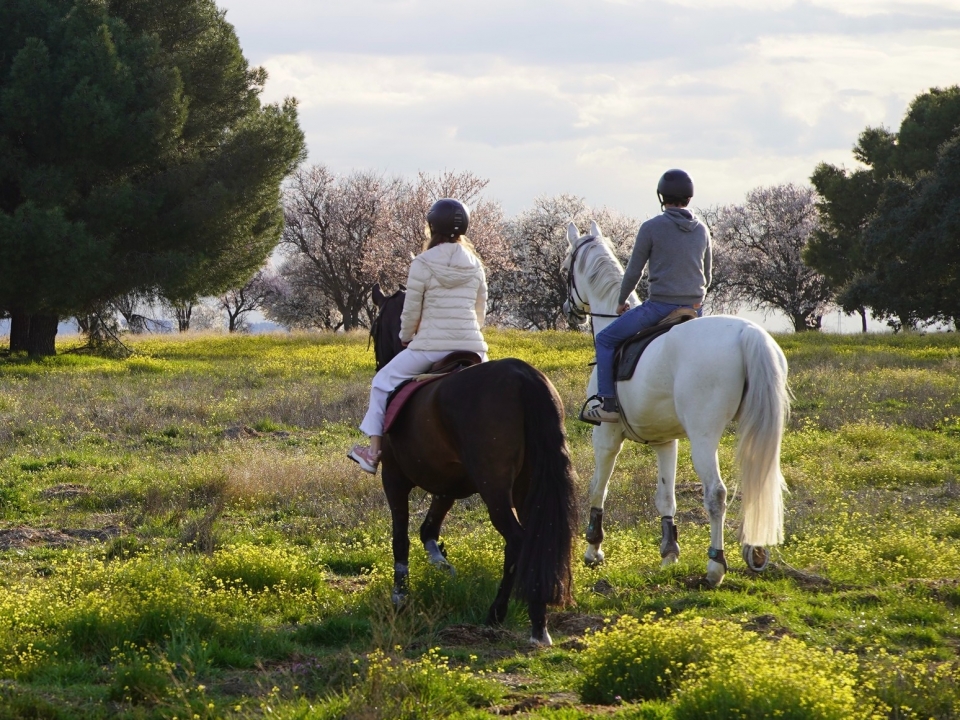 Paseo a caballo por El Pardo