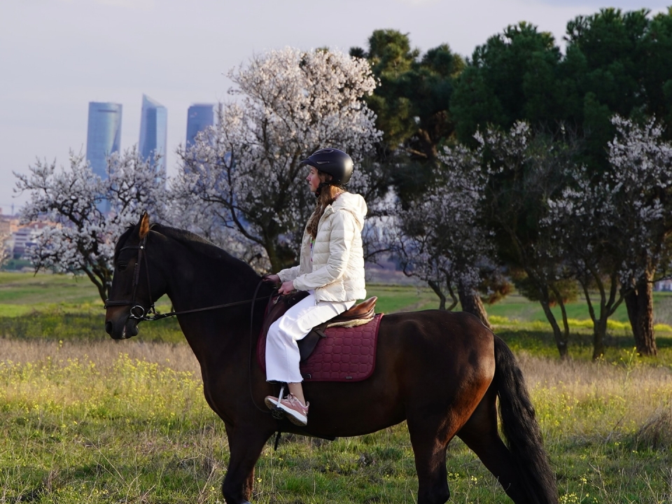 Cabalgamarra en Madrid Cabalgamarra en Madrid