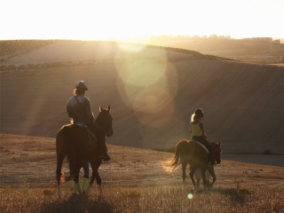 Paseo a caballo por Espacio Natural de Doñana 2h