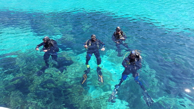 Buceadores en el agua cristalina