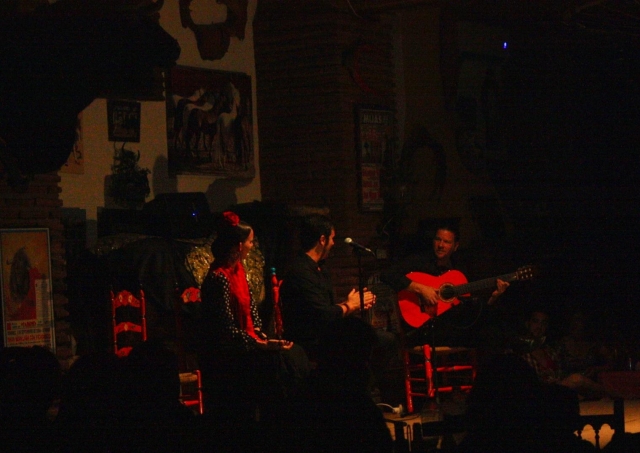 Experiencia de flamenco en Mijas