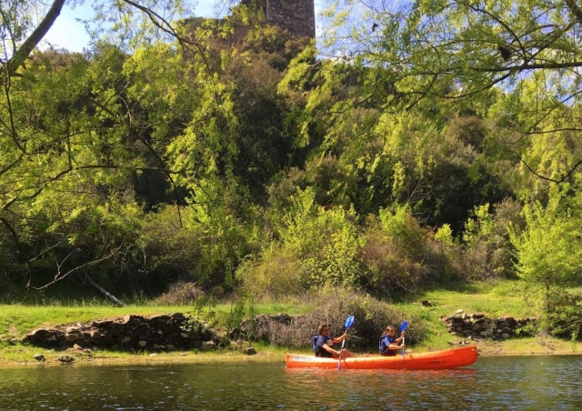 Canoa en la ribera