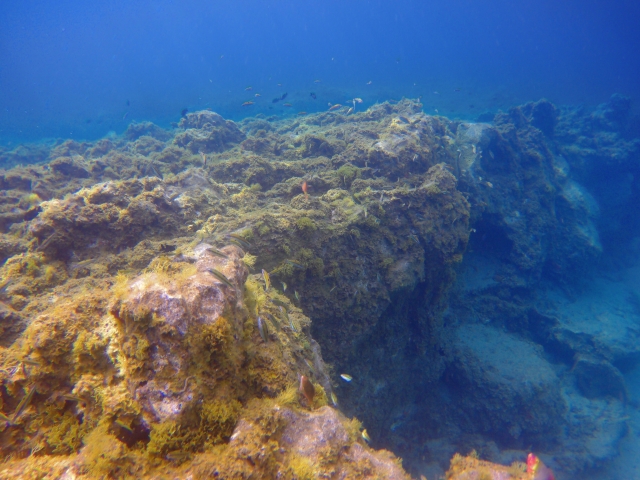 Snorkel en Tenerife