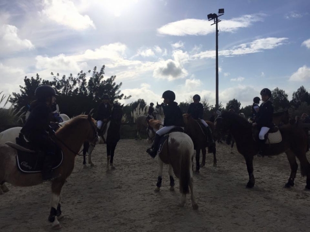 Caballos preparados para el recorrido