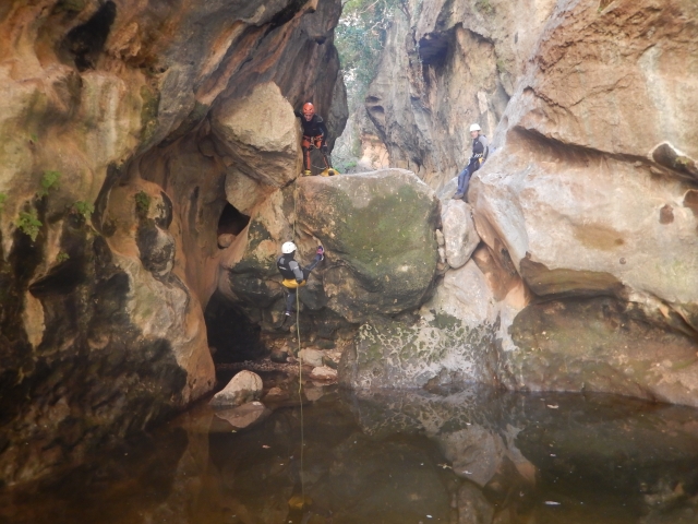 Garganta verde