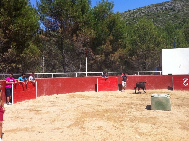 vaquilla
