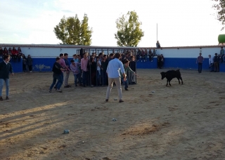 Capea, Zorbing y Cena en San Martín de la Vega 9h