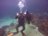Curso PADI Open Water Diver en Estartit, 5 días