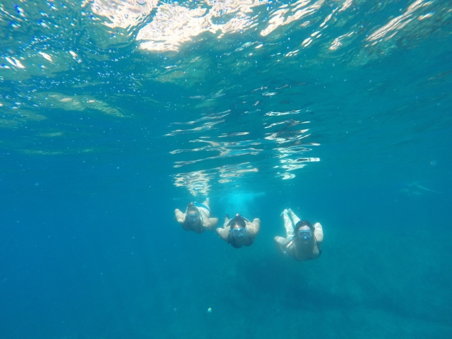 Actividade de kayak y snorkel