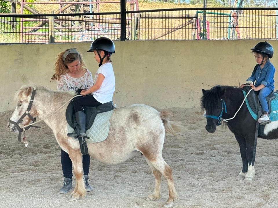 Clases de subir en pony Clases de subir en pony