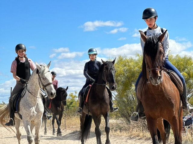 Cabalgamarra grupal por el Monte de El Pardo, 2h
