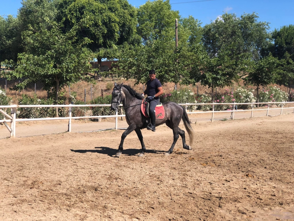 Ruta exclusiva a caballo
