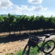 Renta de Bicicletas La Rioja