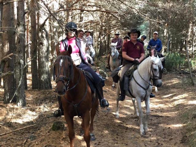 Subiendo en los bosques de Piedralaves