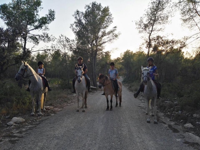 Paseo a caballo por el bosque la Marquesa