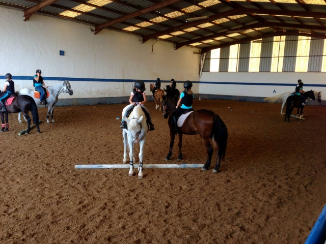 Paseo en pony para niños en Cartagena
