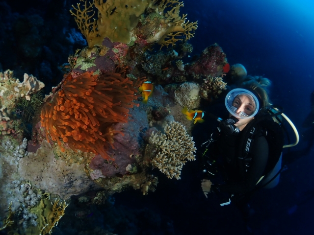 Salida de buceo